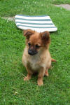 Roxy